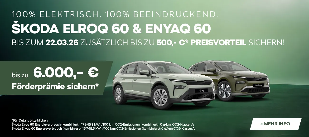 Skoda Elroq und Enyaq 60