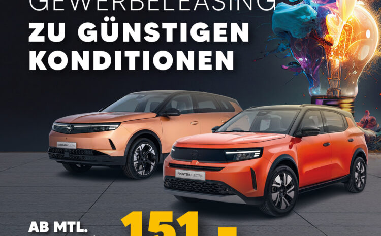  Electric Aktionsleasing