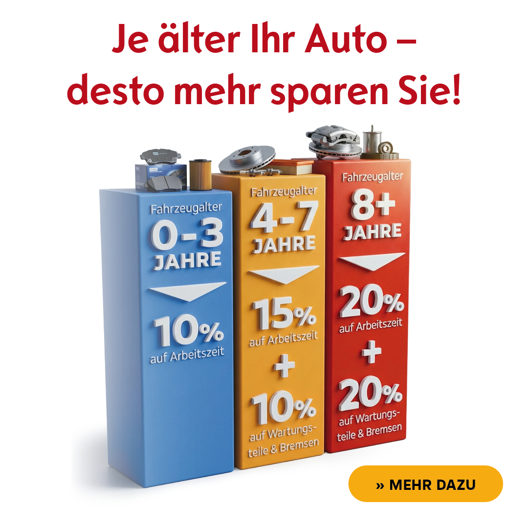 BEITRAGSBILD Werkstattaktion